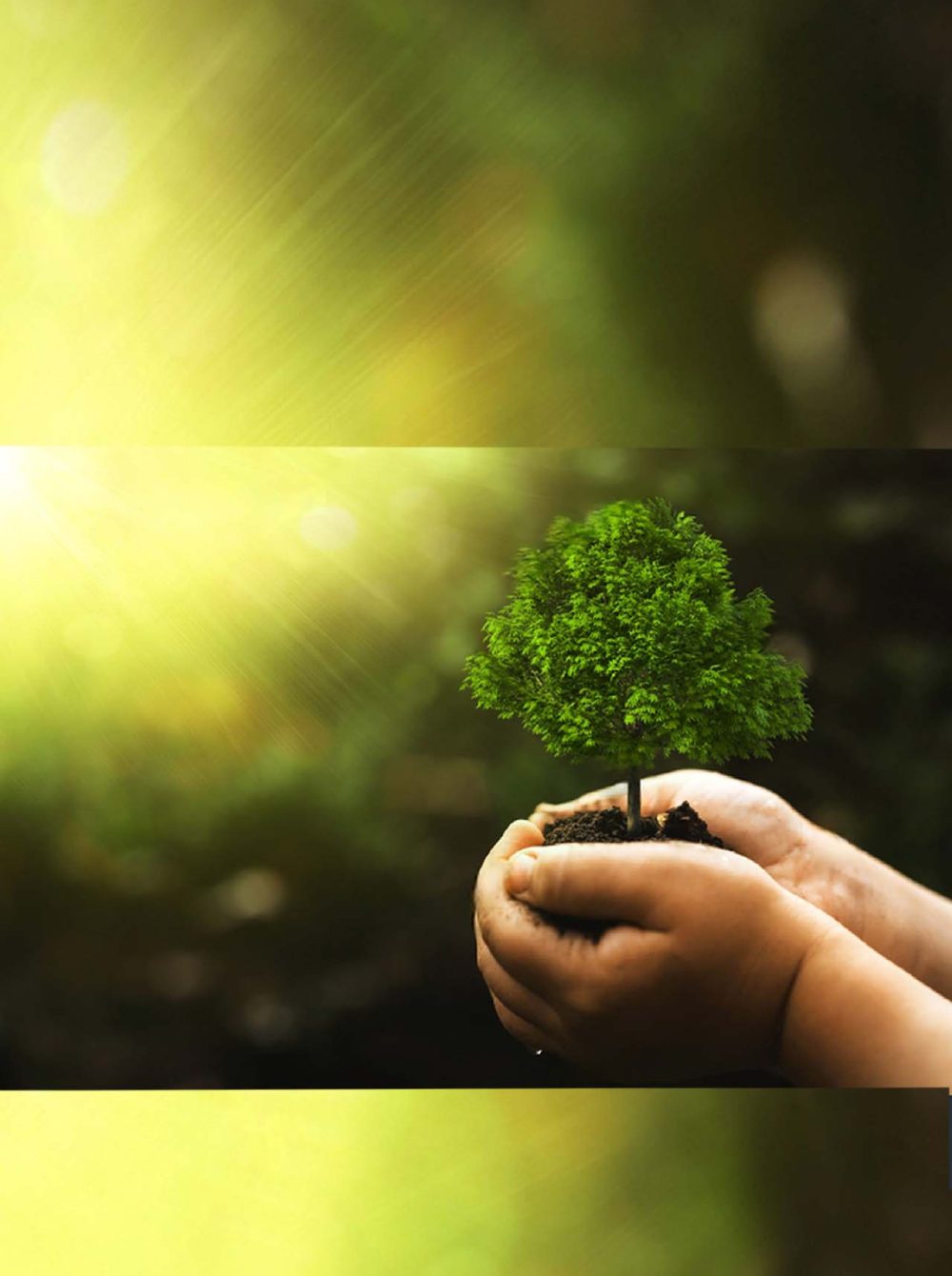 Enviornment Consultancy